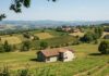 Monferrato: ‘Alberi Parlanti’ per l’abitare sostenibile Dialogo ambientale