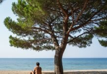 Mediterraneo: l’indifferenza uccide il nostro mare Indifferenza ambientale