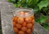 Vignola: la conservazione contro lo spreco di frutta Spreco alimentare