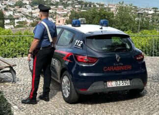 Follia a Porta Nolana, armato di una lama artigianale danneggia una tubatura e sputa ai militari: arrestato