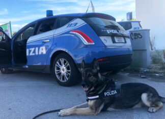 Stazioni Sicure, pugno di ferro a Napoli: 4 arresti tra furti, violenza sessuale e spaccio