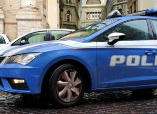 Torre Annunziata, il fiuto del cane poliziotto svela il market della droga: sequestrati marijuana e un tesoretto da 23mila euro
