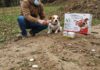 Farmaci animali: prezzi fino a 10 volte più cari Spesa sanitaria