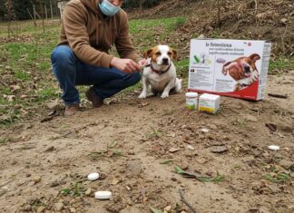 Farmaci animali: prezzi fino a 10 volte più cari Spesa sanitaria