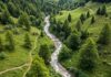 Nuovi boschi in Appennino: un piano da 10mila alberi Riforestazione Appennino