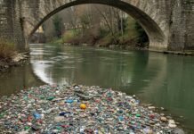 Fiume Po: studio rivela alta presenza di microplastiche Emergenza ambientale