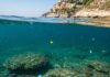 Mediterraneo: allarme per le microplastiche in mare Inquinamento marino