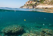 Mediterraneo: allarme per le microplastiche in mare Inquinamento marino