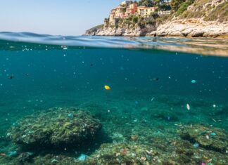 Mediterraneo: allarme per le microplastiche in mare Inquinamento marino