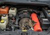 Avellino: salvato un gattino incastrato nel motore Salvataggio animale