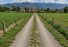 Italia: un concorso fotografico sulla rigenerazione Rigenerazione urbana