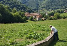 Appalti verdi: 43% dei comuni è inadempiente Acquisti sostenibili