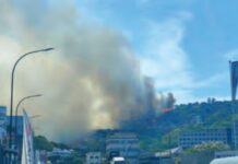 Inferno di fuoco tra Pozzuoli e Agnano: evacuati edifici e concessionarie Incendio a Pozzuoli e Agnano