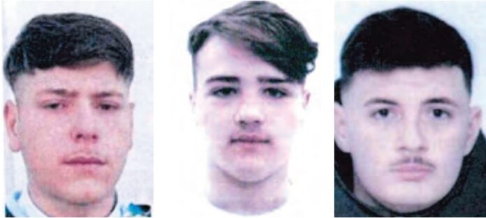 Luigi D'Alterio, Patrizio Di Nardo e Vincenzo Bombace
