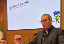 Elezioni comunali di Caserta, Cerreto: “Io sindaco? No, grazie. Scegliamo un nome condiviso” Marco Cerreto
