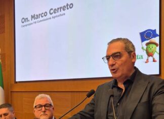 Elezioni comunali di Caserta, Cerreto: “Io sindaco? No, grazie. Scegliamo un nome condiviso” Marco Cerreto