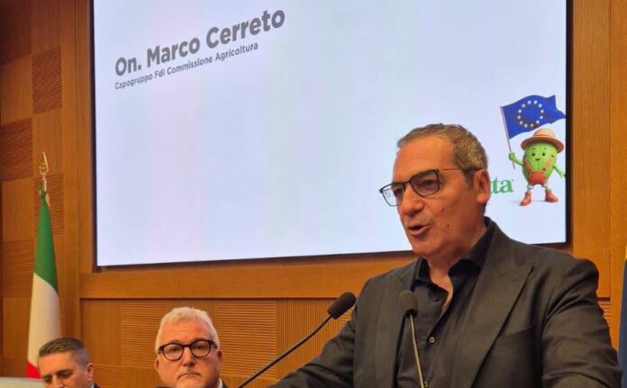 Marco Cerreto