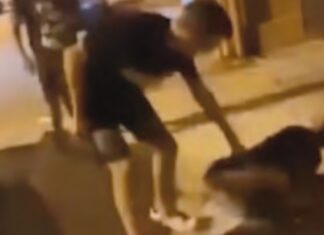 Afragola, ridicolizzano un anziano e si riprendono col cellulare alle Salicelle Anziano bullizzato ad Afragola