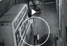 Concessionaria in fiamme al Vomero, incendio doloso: nel video un uomo con una tanica di benzina Immagini di videosorveglianza della concessionaria del Vomero