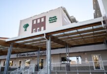 Pineta Grande frena, Fico nella bufera. Budget non coperto dalla Regione, attività dimezzate Pineta Grande (foto guglielmoverrienti)