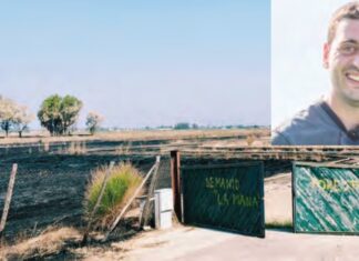 Fiamme nella Piana del Cpr, bufera politica a Castel Volturno. Buffardi (Pd): “Noi non lo vogliamo” Rogo in località La Piana a Castel Volturno ed Alessandro Buffardi in foto