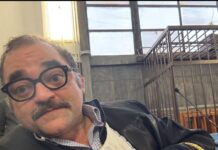 Giallo a Caserta, l’avvocato Paolo Falco trovato morto in studio. Lutto nella politica cittadina