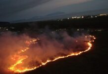 Voleva bruciare qualche foglia e manda in fumo 7 ettari nell’ex base Nato di Licola: preso 52enne Incendio all'ex base Nato di Licola