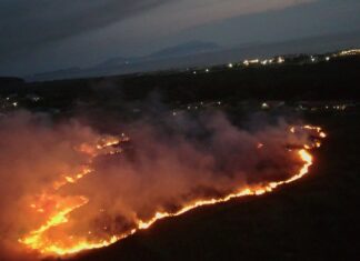 Voleva bruciare qualche foglia e manda in fumo 7 ettari nell’ex base Nato di Licola: preso 52enne Incendio all'ex base Nato di Licola