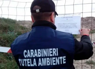Riflettori sull’ecofrantoio Natale a Castel Volturno, fanghi nei campi: 983 trasporti abusivi Carabinieri-Noe-768x480