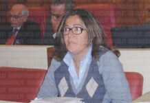PD, blitz per il 2027: Donatella Andrisani candidata sindaco. Ora la resa dei conti con gli alleati. Donatella Andrisani