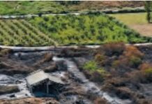 Casacelle, il fumo non dà tregua. Scuole chiuse a Giugliano dopo l’incendio: stop in 4 istituti Incendio alle Casacelle a Giugliano