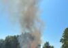 Pignataro Maggiore, inferno di fuoco sulla collina: si sospetta la mano di un piromane. A rischio la pineta. L'incendio a Pignataro Maggiore