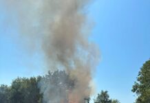 Pignataro Maggiore, inferno di fuoco sulla collina: si sospetta la mano di un piromane. A rischio la pineta. L'incendio a Pignataro Maggiore