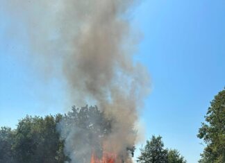 Pignataro Maggiore, incendio sulla collina: si sospetta la mano di un piromane. A rischio la pineta. L'incendio a Pignataro Maggiore