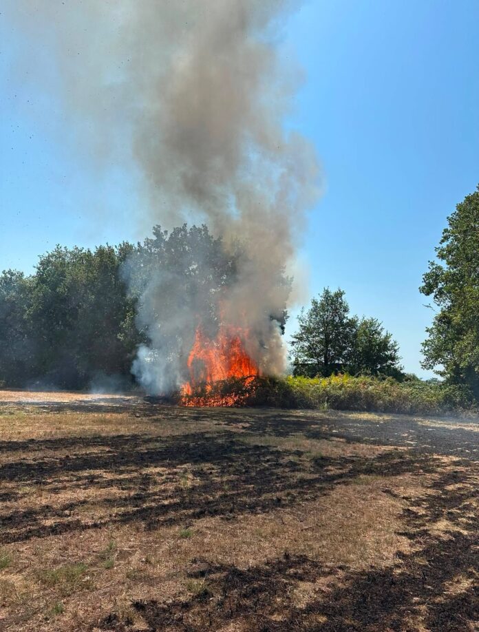 L'incendio a Pignataro Maggiore