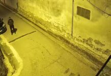 Rapina in casa a Casapesenna, aggrediti un medico e la moglie. Rubati soldi e gioielli Uno dei malviventi immportalati a Casapesenna