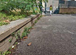 Scuola Neghelli tra rifiuti e topi, allarme igiene a Fuorigrotta