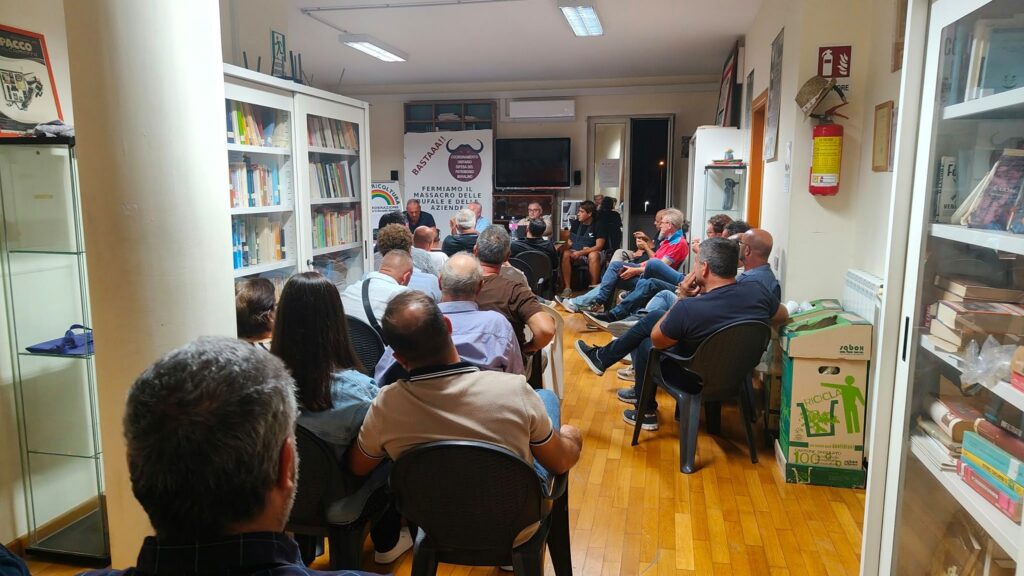 Bufale, gli allevatori: “Stop contratti truffa”