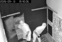 Afragola, ladri in casa durante Napoli-Bologna: messi in fuga dal cane