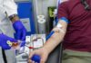 Sant’Anastasia, sabato 31 ottobre doppia raccolta di sangue: l’Avis chiama a raccolta i donatori