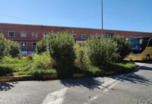 Caserta, dalla stazione alla Reggia è un percorso a ostacoli: alberi caduti, buche e indicazioni carenti