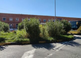 Caserta, dalla stazione alla Reggia è un percorso a ostacoli: alberi caduti, buche e indicazioni carenti