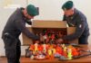 Gadget di Halloween illegali: sequestrati 34mila articoli e segnalate 7 persone HALLOWEEN - COMANDO PROVINCIALE CASERTA