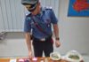 Acerra – Il packaging da oltreoceano, droga confezionata in buste colorate con loghi riconoscibili: i carabinieri arrestano 22enne e sequestrano anche una pistola