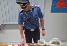 Acerra – Il packaging da oltreoceano, droga confezionata in buste colorate con loghi riconoscibili: i carabinieri arrestano 22enne e sequestrano anche una pistola
