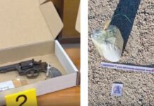 Acerra: quattro pistole, due bombe e droga in casa. Preso 57enne Pistole e droga in una casa ad Acerra