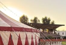 Halloween a Edenlandia, riapre il cinodromo dopo 33 anni: spettacoli per famiglie e horror per adulti