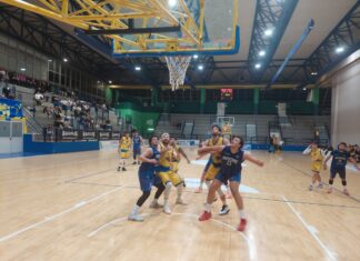 Flavio Basket Pozzuoli perde il derby contro Portici 2000 Flavio Basket Pozzuoli