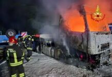 Boato nella notte, quattro veicoli distrutti dalle fiamme a Piazzolla di Nola Incendio a Nola